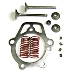 (0D24890esv) Generac | Valve Kit 1