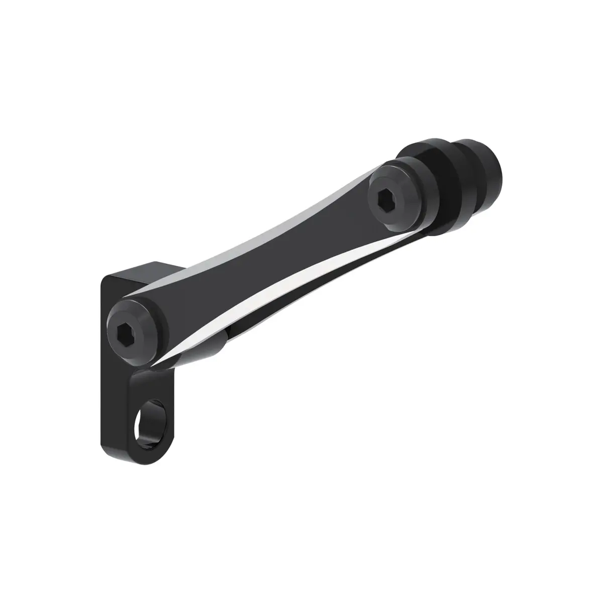 E-Bike  Aluminum Fork Mount 1
