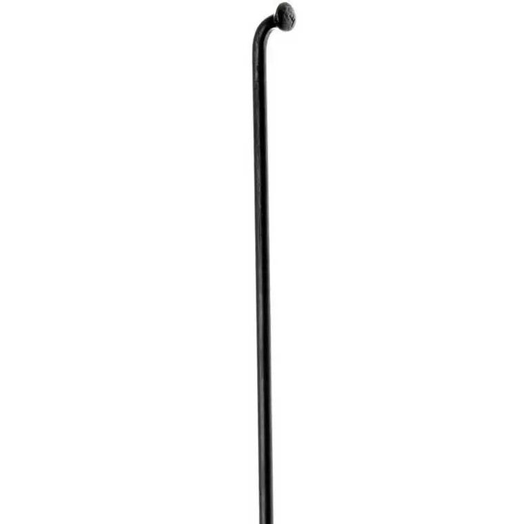 Dt Swiss Champion Black Spoke 1