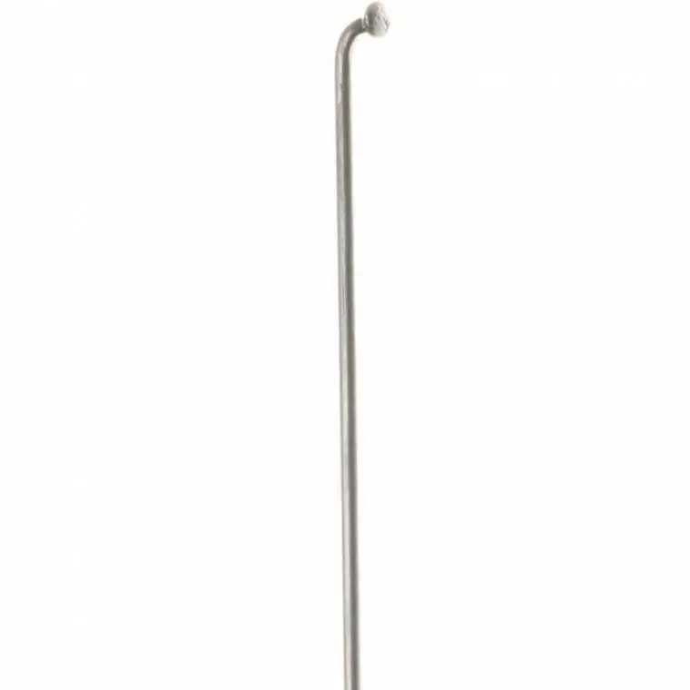 Dt Swiss Champion Silver Spoke 1