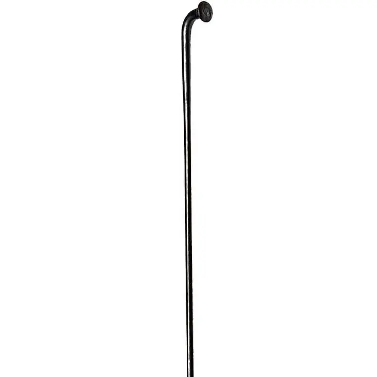 Dt Swiss Competition Db Black Spoke 1
