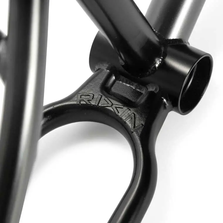 Rixin Billy Perry Big Apple Frame 5