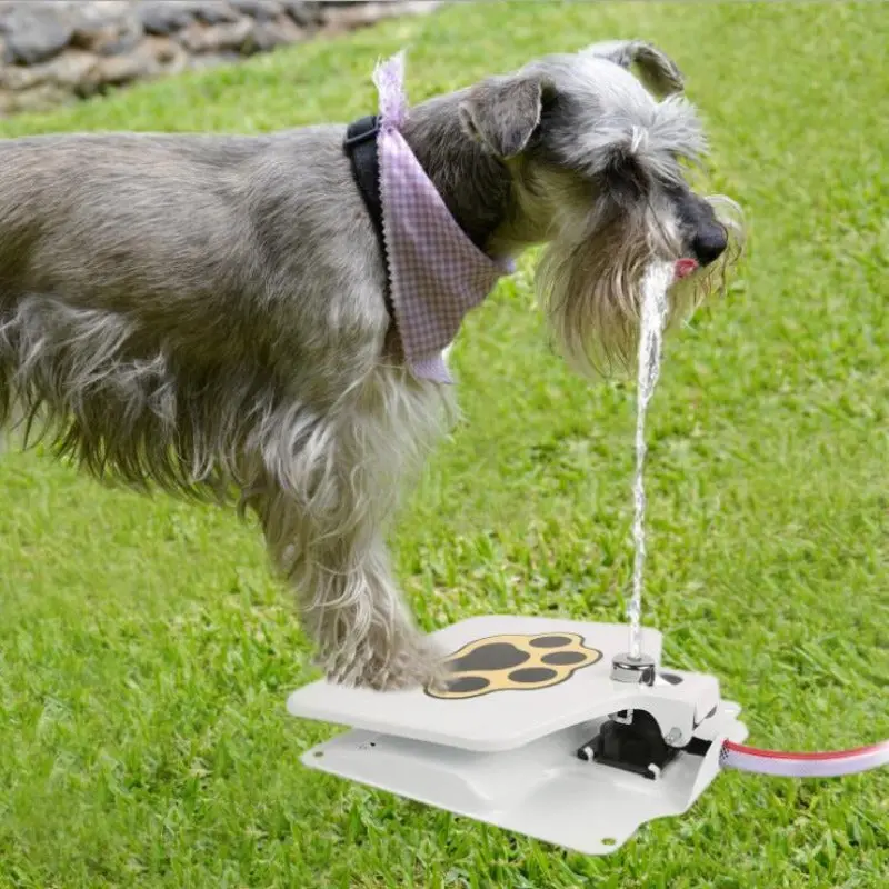 Automatic Outdoor Dogs Water Fountain 1