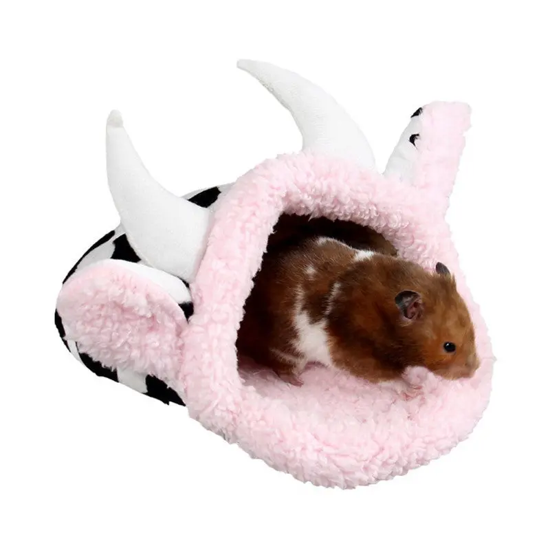 Guinea Pigs Cold Shelter 1
