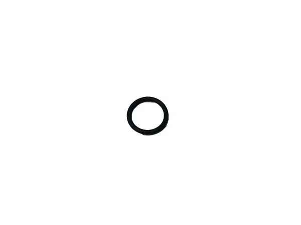 (270344S) Briggs Seal-O Ring 1