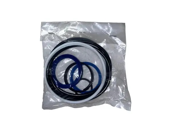 (30002-999) Cylinder Seal Kit 1