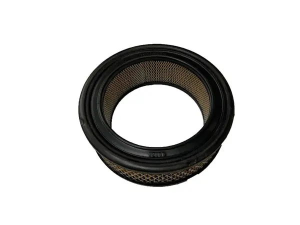 (32008) Tecumseh | Air Filter 1