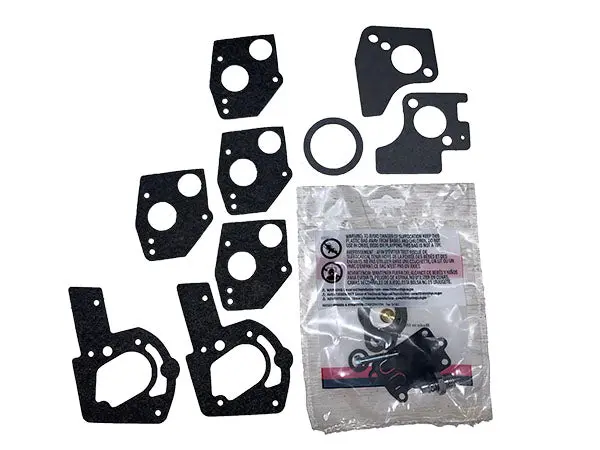 (495606) Briggs Kit-Carb Overhaul 1