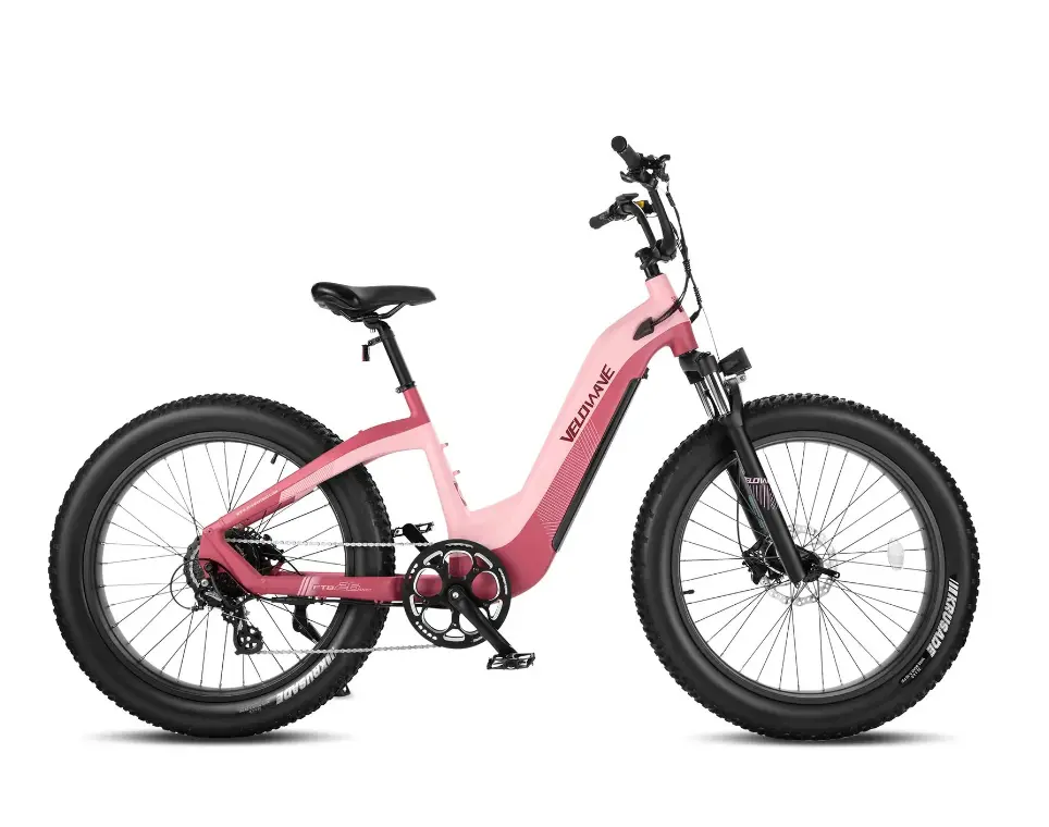 Velowave Grace 2.0 Step Thru Electric Bike 3