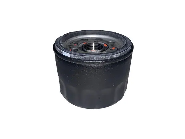 (602581) Filter, Engine Oil 1