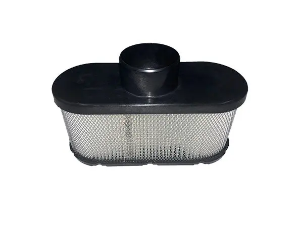(603059) Filter, Air Main 1