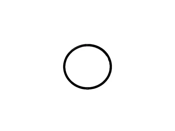 (603223) O-Ring, Zt28/3100 Charge 1