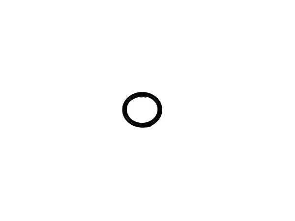 (604369) O-Ring Sckm-670D2016 1