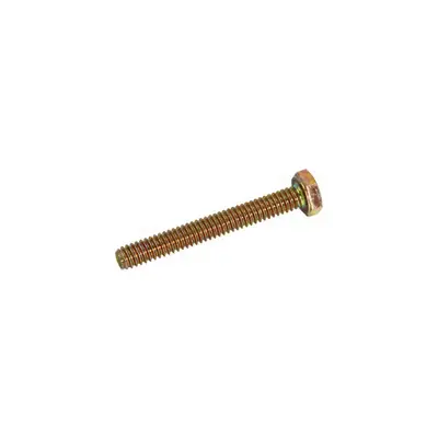 (604452) Cs .250-20X2.00 Hx Fh Zy 1
