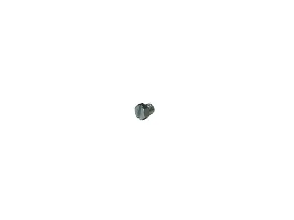 (606817) Grease Plug 1
