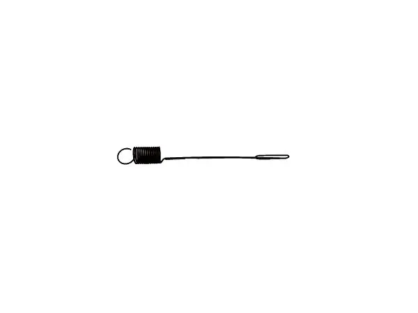 (691291) Governor Spring 1