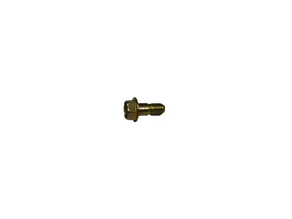 (691688) Briggs Screw 1