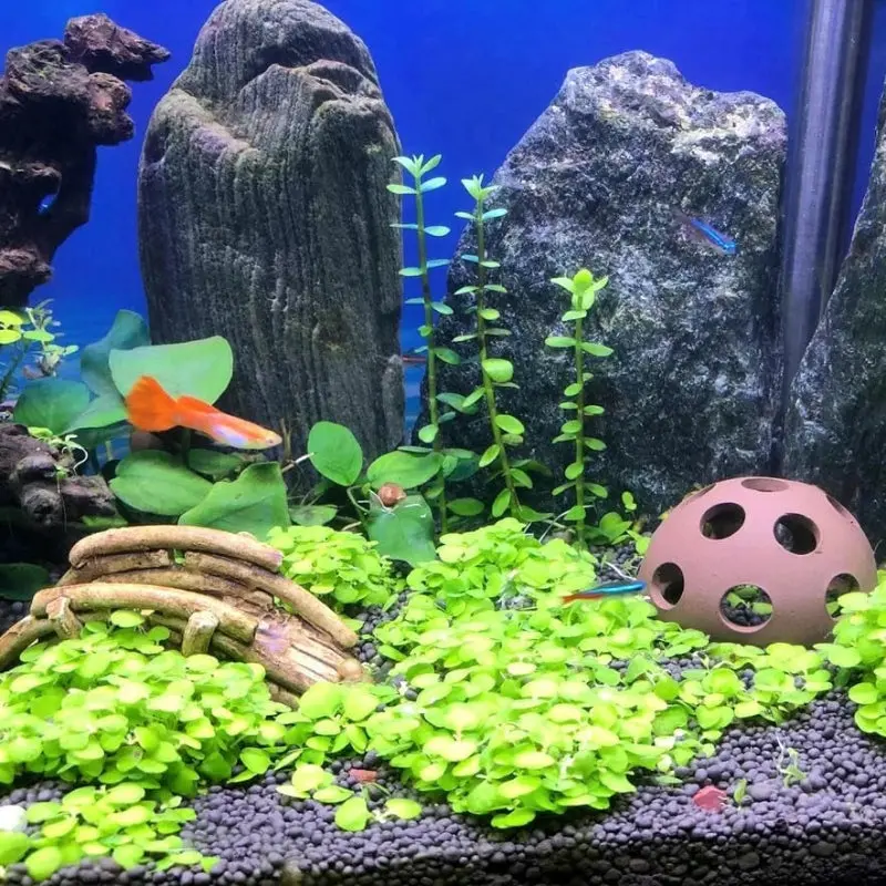 Fish Tank Landscaping Ceramic Homes 1
