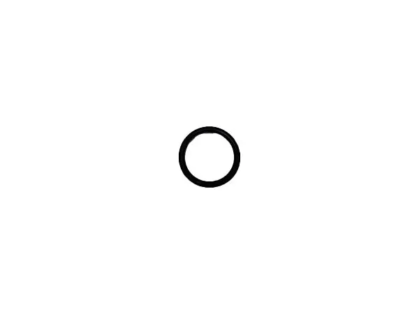 (730-088) O Seal Ring 1
