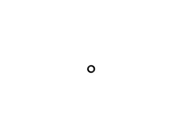 (730-094) O Seal Ring 1