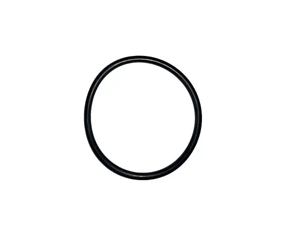 (730-847) O Seal Ring 1
