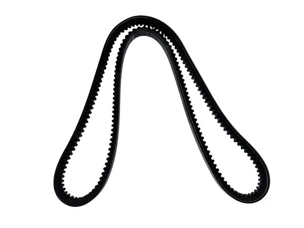 (784981) Belt B46 1