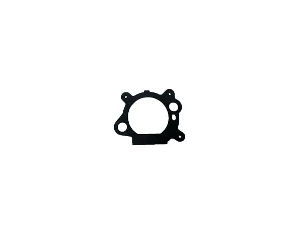 (795629) Gasket-Air Cleaner 1