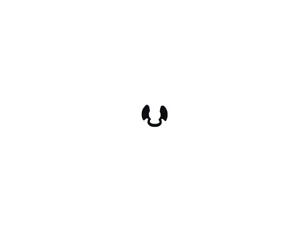 (798371) Ring, Retaining 1