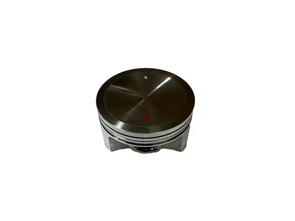 (7Ud-E1631-00-A0) Yamaha Piston Std 1