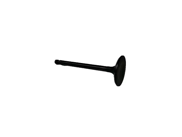 (7Ud-E2111-00) Yamaha Valve, Intake 1