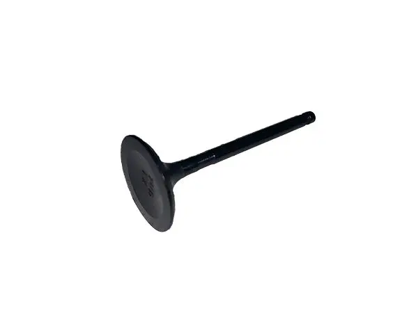 (7Ud-E2121-00) Yamaha Valve, Exhaust 1