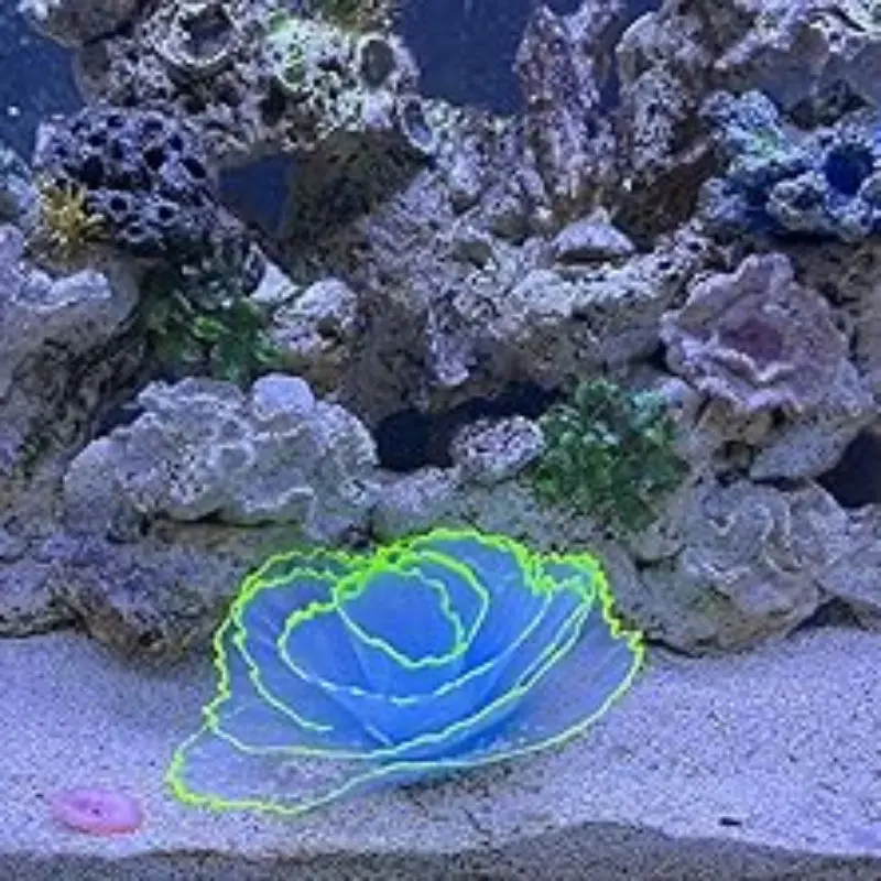 Ornaments Fish Tank Landscaping Coral 1