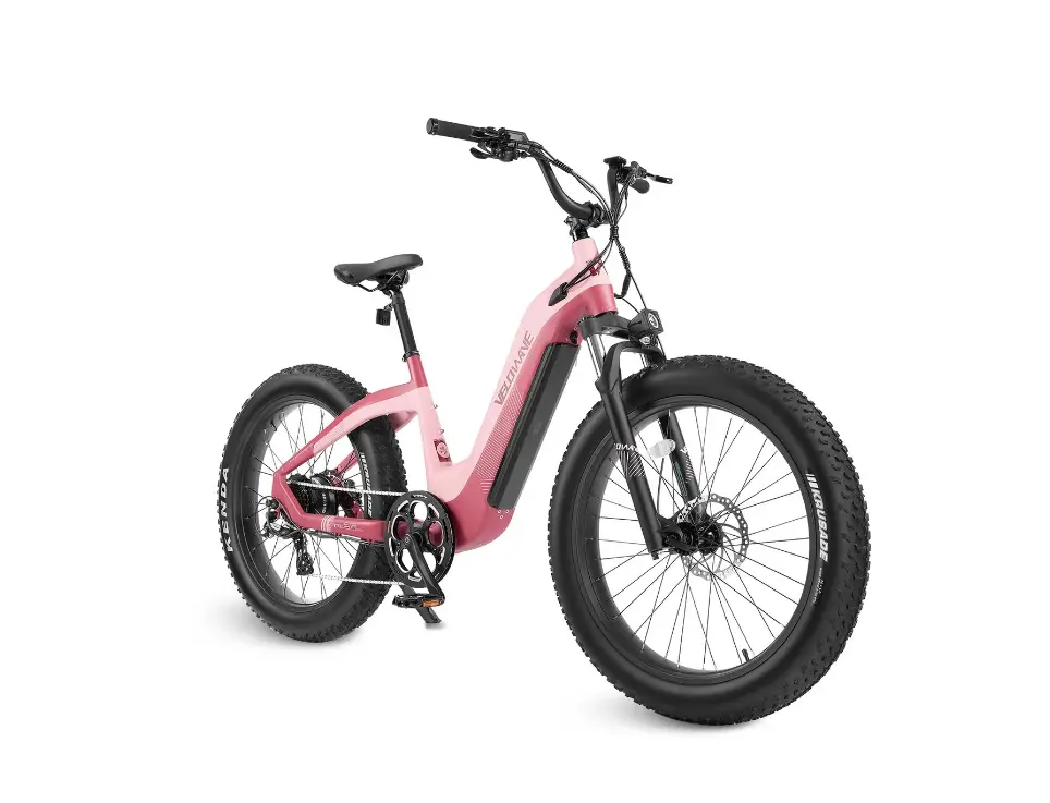 Velowave Grace 2.0 Step Thru Electric Bike 2