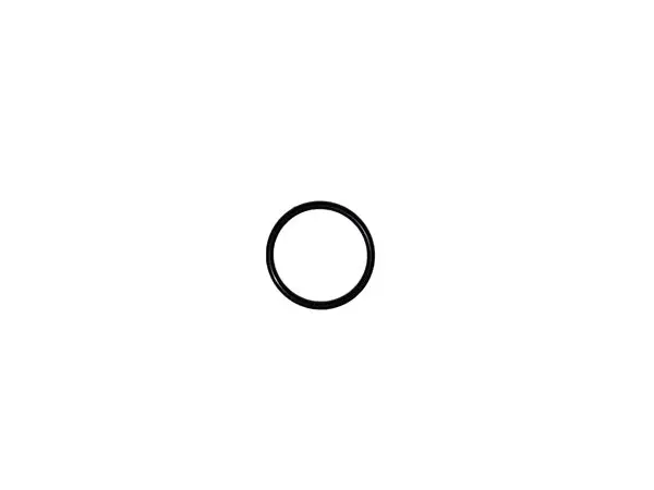 (93210-25N51) Yamaha O Ring 1