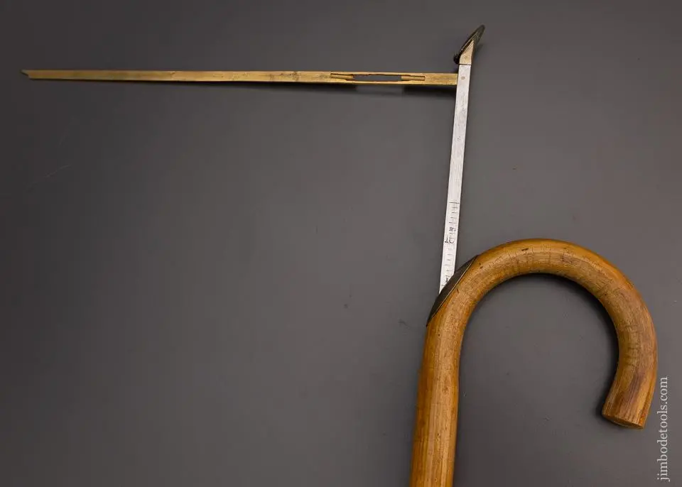 Rare Horse Measuring Cane - 98082 1