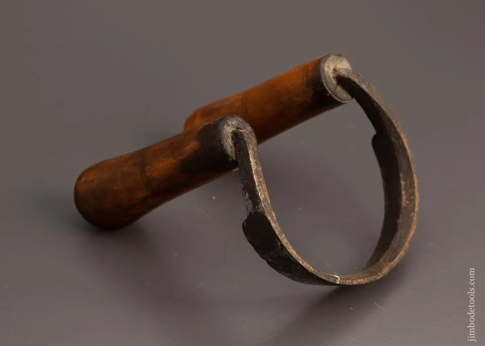 5 Inch Scorp - 99343 1