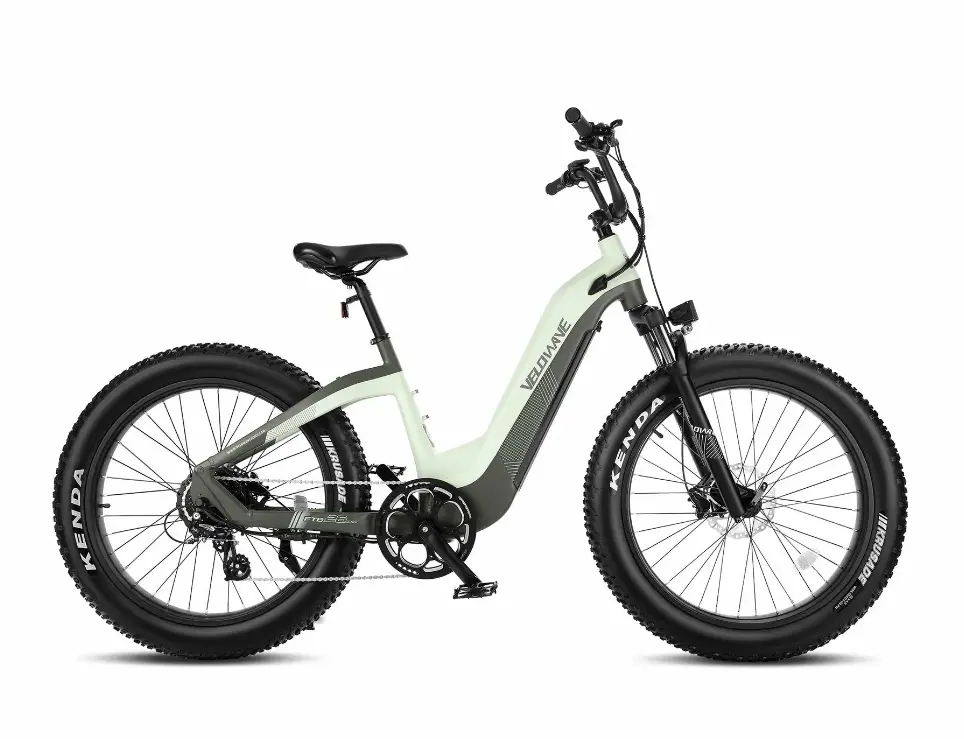 Velowave Grace 2.0 Step Thru Electric Bike 1