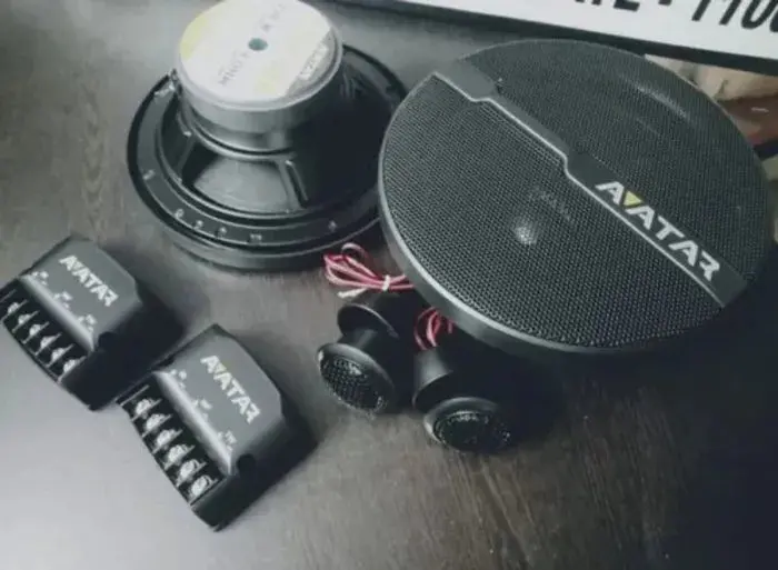 Avatar Component Speaker 1