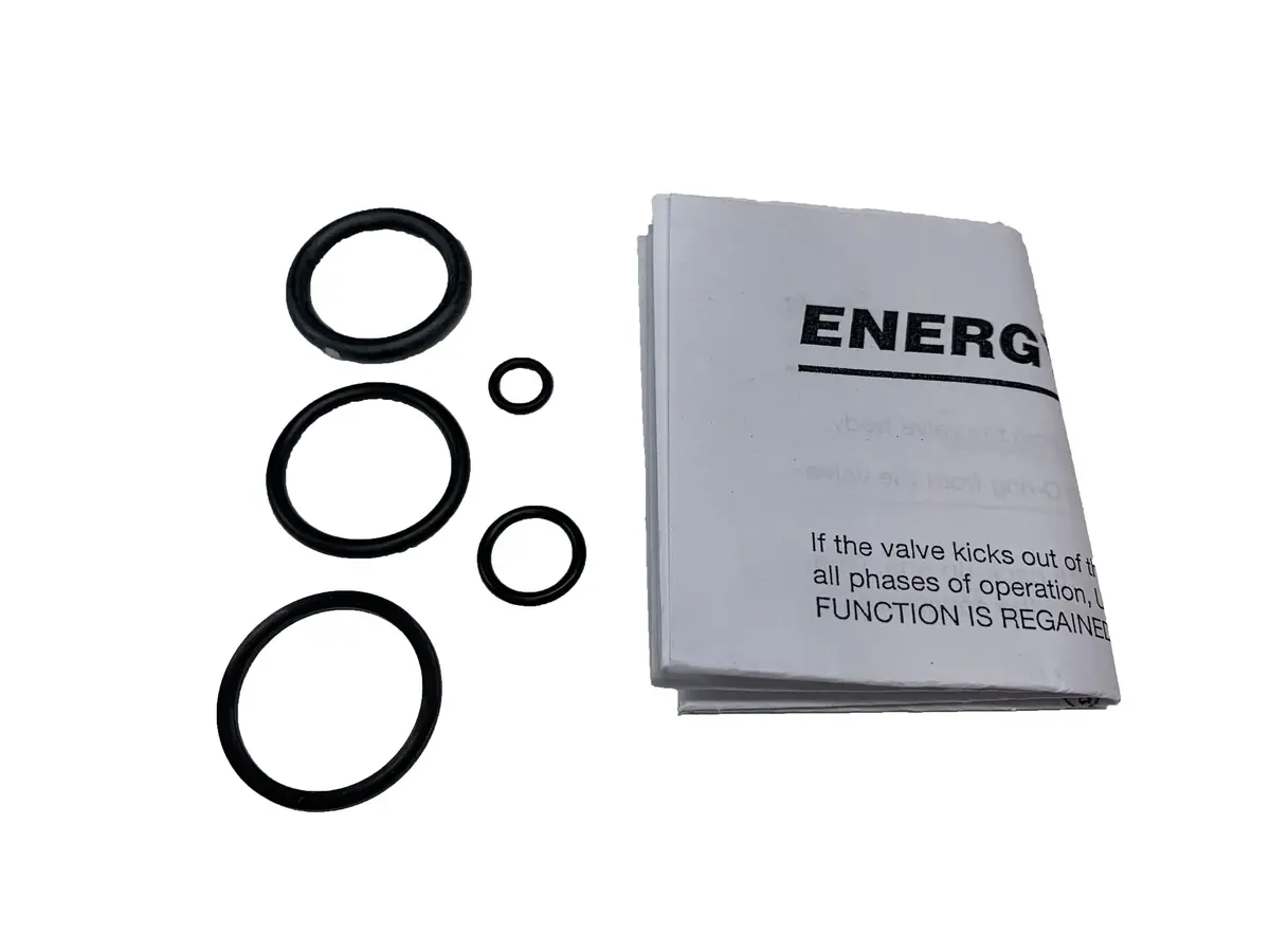 (Br004117sk) Energy Valve Seal Kit (S390423e0) 1
