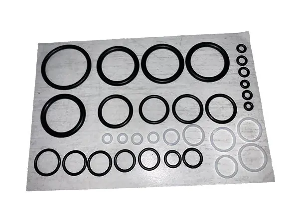 (Br004320) Kit - Seal Prince 22Gpm 1