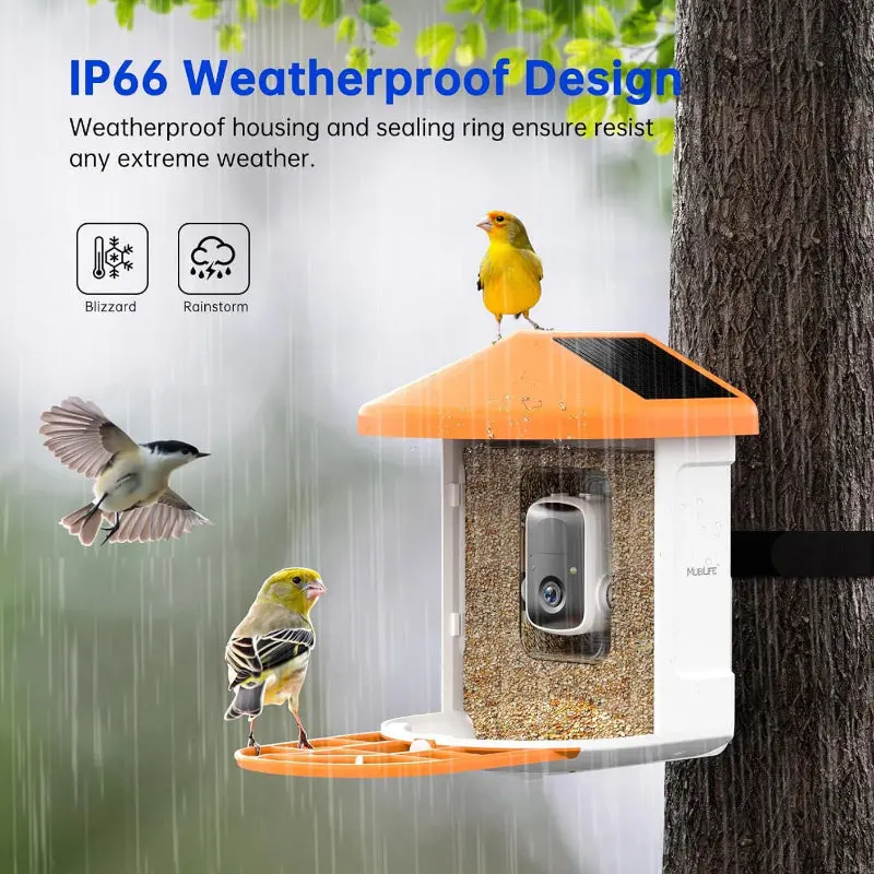 Smart Feeder Surveillance Wireless Camera 1