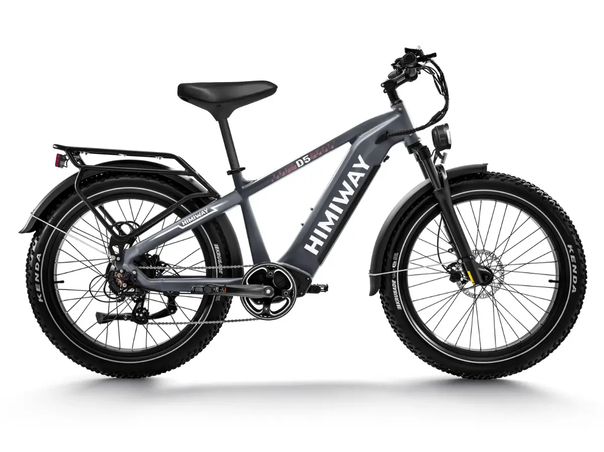 Himiway Zebra D5 - Premium All-Terrain Electric Fat Bike 1