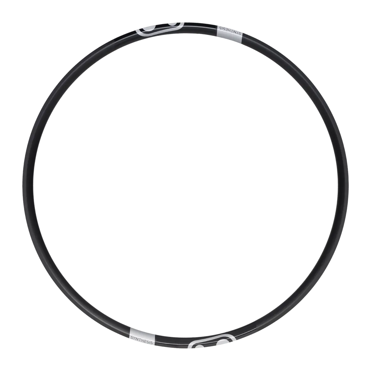 Synthesis Dh & E-Mtb Alloy 2.0 Rim 1