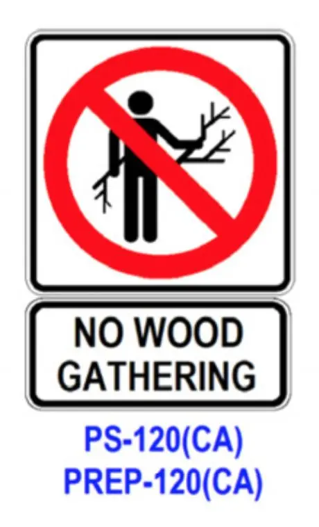 No Wood Gathering 1