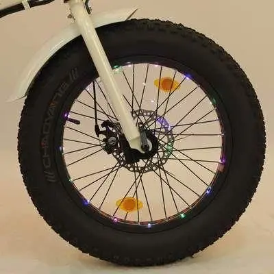 Ecotric Spoke Lights 1
