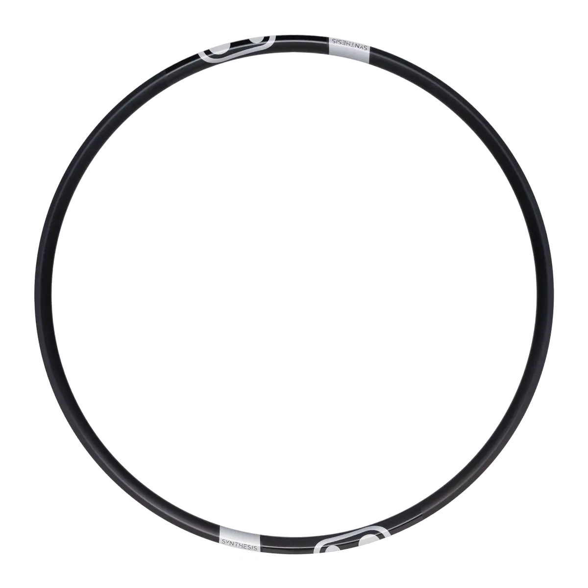 Synthesis Enduro Alloy 2.0 Rim 1