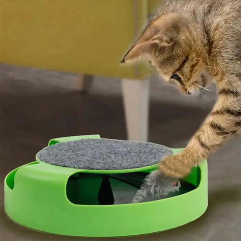 Cat Catch Mouse Toy 1