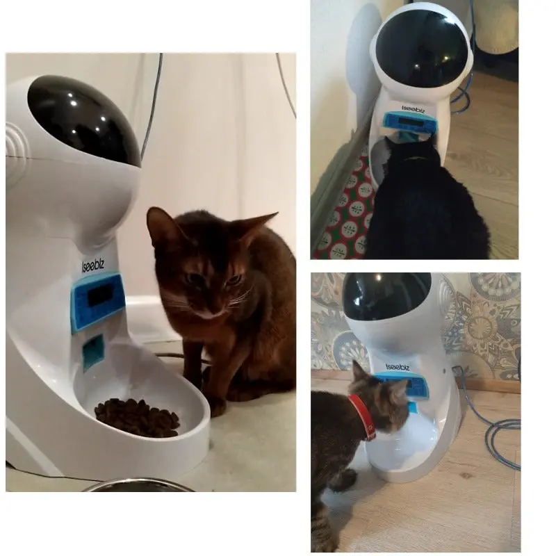Pet Food Dispenser Feeder With Timer 1