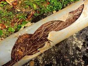 Klear Out Gx - Municipal Sewer Compound - (4 X 8 Lb.) Per Case 1