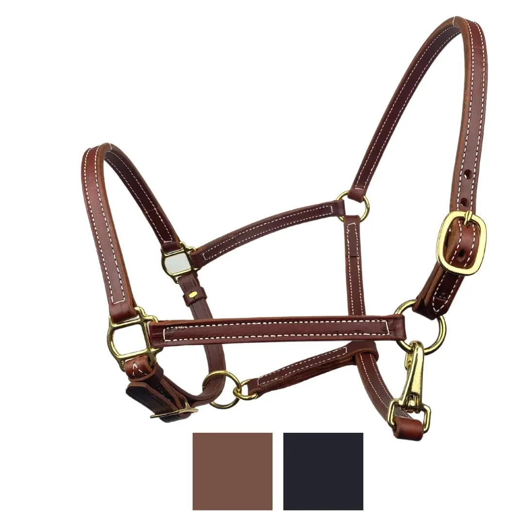 Leather Breakaway Horse Halter 1